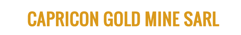 Watsha Gold Mining Group (DR Congo)