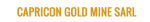 Watsha Gold Mining Group (DR Congo)